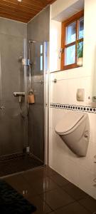 y baño con ducha, aseo y lavamanos. en Studioferienhaus Herzogstadt-Celle, en Celle