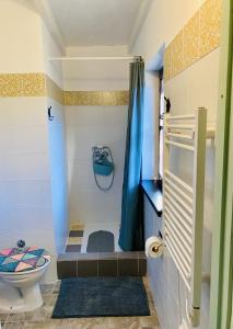 a bathroom with a toilet and a blue shower curtain at Lucky Home - Apartment Art Grožnjan in Grožnjan