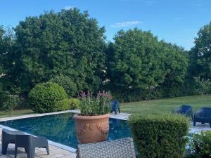 a pot with a plant in it next to a pool at Chambres d'hôtes Les Templiers in Rugney