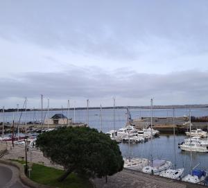 Une bande de bateaux amarrés dans un port de plaisance dans l'établissement La goélette - Les Gîtes de la Côte d'Amour, au Croisic