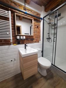 y baño con lavabo, aseo y ducha. en Górskie apartmenty Kowary, en Kowary