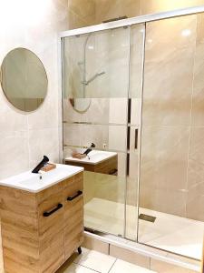 Kúpeľňa v ubytovaní LOFT SAINT JEAN
