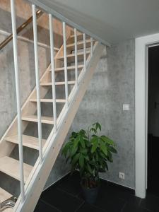 Fotografija v galeriji nastanitve Gîte Chez l'Oncle Paul v mestu Urschenheim
