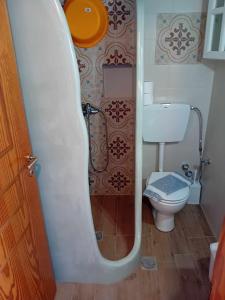a small bathroom with a toilet and a shower at SOHOROS STUDIOS in Iraklia