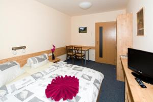 Televízia a/alebo spoločenská miestnosť v ubytovaní Horský Hotel Skiland