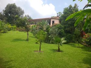 a yard with palm trees in front of a house at Rubavu Buy And Sell Ltd, real estate agency in Gisenyi