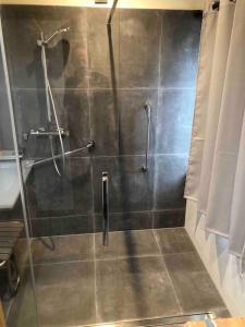 a bathroom with a shower with a glass door at T3 Cosy - Parking privé in Saint-Amarin