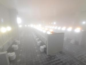 HigashimaeOnsen Shinwanoyu Hotel Akitaya的一间浴室