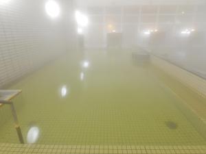 HigashimaeOnsen Shinwanoyu Hotel Akitaya内部或周边的泳池