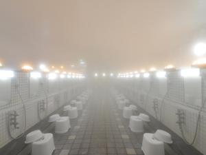 HigashimaeOnsen Shinwanoyu Hotel Akitaya的一间浴室