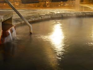 北斗HigashimaeOnsen Shinwanoyu Hotel Akitaya的相册照片