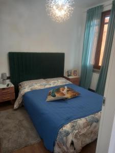 een slaapkamer met een bed met een blauwe deken bij Room in arena in fiera in Verona