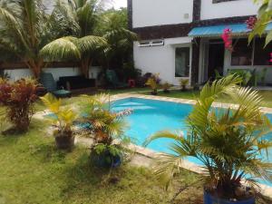 a swimming pool in the yard of a house with palm trees at Villa with private pool near sandy beach in Pointe aux Biches