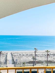 - une vue sur la plage bordée de palmiers et l'océan dans l'établissement Bella vista ,accès direct plage, front de mer, vue mer panoramique, au Barcarès