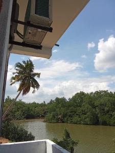 a view of a river with a palm tree at Villa Don Williams Weligama in Weligama