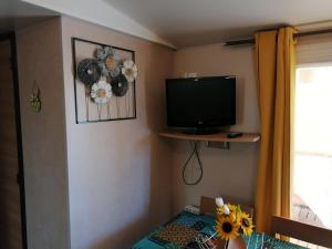 TV a/nebo společenská místnost v ubytování Mobilhome 8 pers