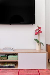 TV/Unterhaltungsangebot in der Unterkunft Chueca I calle Farmacia 1BR 1BH