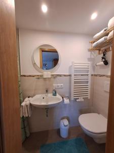 uma casa de banho com um lavatório, um WC e um espelho. em Haus Zaineck em Anger