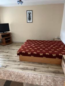 Postel nebo postele na pokoji v ubytování Apartmány Bistár
