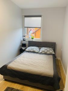 1 cama en un dormitorio con ventana en Apartament Dream Apart II en Szklarska Poręba