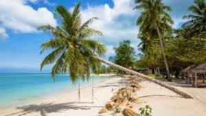 una playa con dos palmeras y el océano en Feel Home no1 private house 2BR, en Hinkong