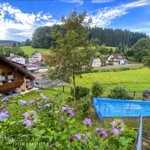 einen Garten mit lila Blumen und einem blauen Boot in der Unterkunft Hirschen-Dorfmühle in Biederbach Baden-Württemberg