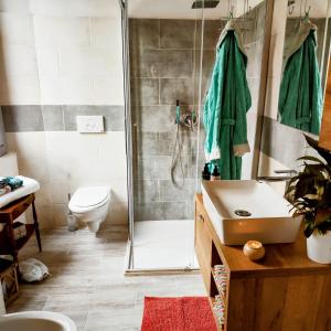 ein Bad mit einer Dusche, einem Waschbecken und einem WC in der Unterkunft Villa Alma, Lake Como Bed&Breathe in San Fedele Intelvi