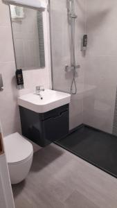 La salle de bains est pourvue d'un lavabo, d'une douche et de toilettes. dans l'établissement The Helm Apartments B&B, à Westport