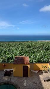 a house with a view of a field of corn at Apartamento Los Guirres in Tazacorte