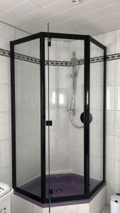 La salle de bains est pourvue d'une douche avec une porte en verre. dans l'établissement Smoke free small apartement with Garden View, à Leimen