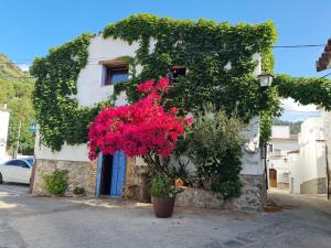 a building with pink flowers on the side of it at Casa La Yedra by CasaTuristica in Benarrabá