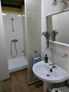 La salle de bains blanche est pourvue d'un lavabo et d'une douche. dans l'établissement La Casa de Alicio en Moronta Salviva, 