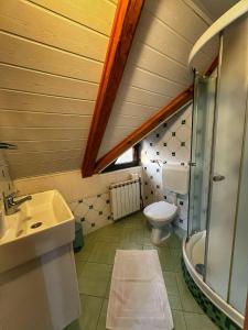 y baño con aseo y lavamanos. en Villa Lykos Plitvice en Lagos de Plitvice