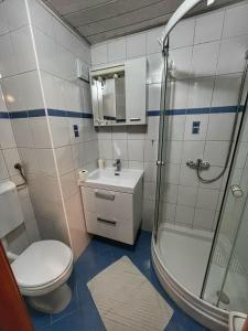 a bathroom with a shower and a toilet and a sink at Villa Lykos Plitvice in Plitvička Jezera