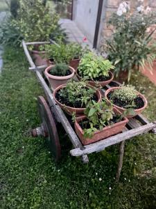 a cart full of potted plants on the grass at Rosso Del Chianti in Panzano