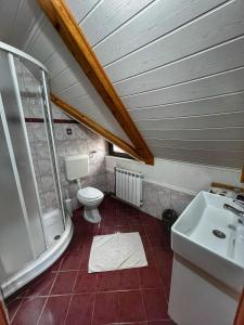 y baño con aseo y lavamanos. en Villa Lykos Plitvice, en Lagos de Plitvice