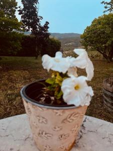 een vaas met bloemen erin zittend op een tafel bij Rosso Del Chianti in Panzano