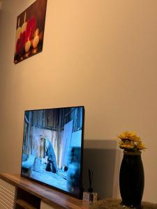 une télévision à écran plat assise sur une table avec un vase dans l'établissement Cozy 1+1 luxury apartment, à Istanbul