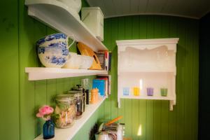 a kitchen with green walls and shelves with dishes at Gooseberry Shepherds Hut in Worcester