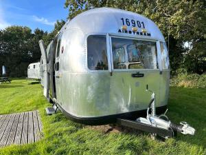 an old silver trailer parked in the grass at Retro Staycations in Ryde