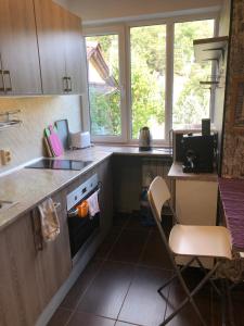 una cocina con fregadero y estufa horno superior en Rose garden, en Batovo