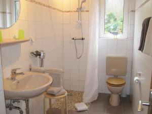 Ένα μπάνιο στο Ferienhaus Am Hohen Berg
