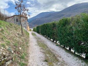 uma estrada de cascalho ao lado de uma linha de arbustos em Il Casale - tra Passato e Modernità 