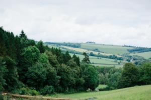 Una vista de una ladera verde con árboles. en Garden House, en North Lydbury