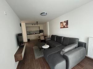a living room with a couch and a table at Vila Drina Apartments in Banja Koviljača