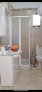 a bathroom with a shower and a sink and a toilet at Casa rural entre la naturaleza Gomera in El Cercado