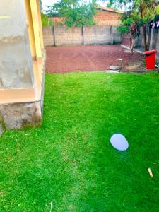 a white frisbee on the grass in a yard at Ukali ukalini homes in Sanya Juu