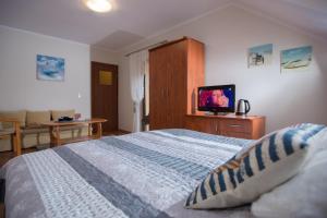 Μια τηλεόραση ή/και κέντρο ψυχαγωγίας στο Domki i Pokoje -WISIENKA