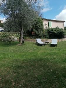 dos bancos de parque y un árbol en un patio en Studio au milieu d une oliveraie Le Mas de la huppe, en Tourrettes-sur-Loup