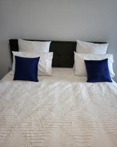 a bed with two blue pillows on top of it at 2 Bedroom Apartment on Nightfall in Belconnen